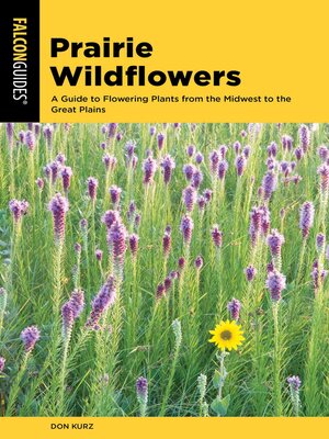 cover image of Prairie Wildflowers